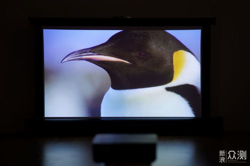 野餐露营新玩法 便携投影灯，点亮夜空下的氛围感